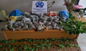 Μετέτρεψε την αυλή του σε... χασισοφυτεία!  
