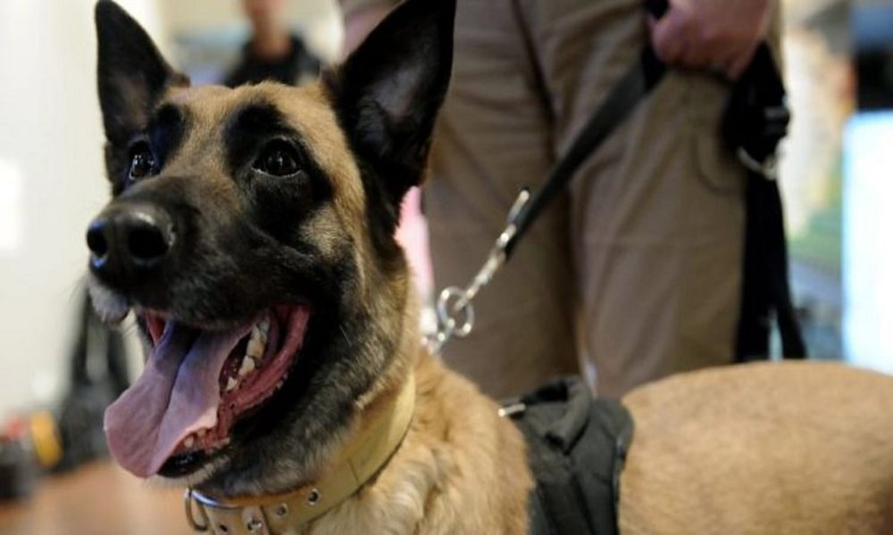 Φιαλίδια με ναρκωτικά σε πλοίο της γραμμής! (pic)