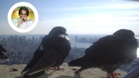 New York,  New York!