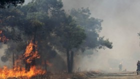 1.000 στρέμματα κάηκαν στο Κιλκίς